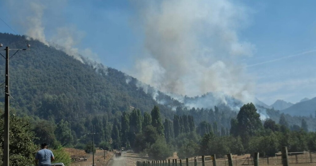 Hombre arrestado por su supuesta implicación en el incendio forestal en Alto Biobío.