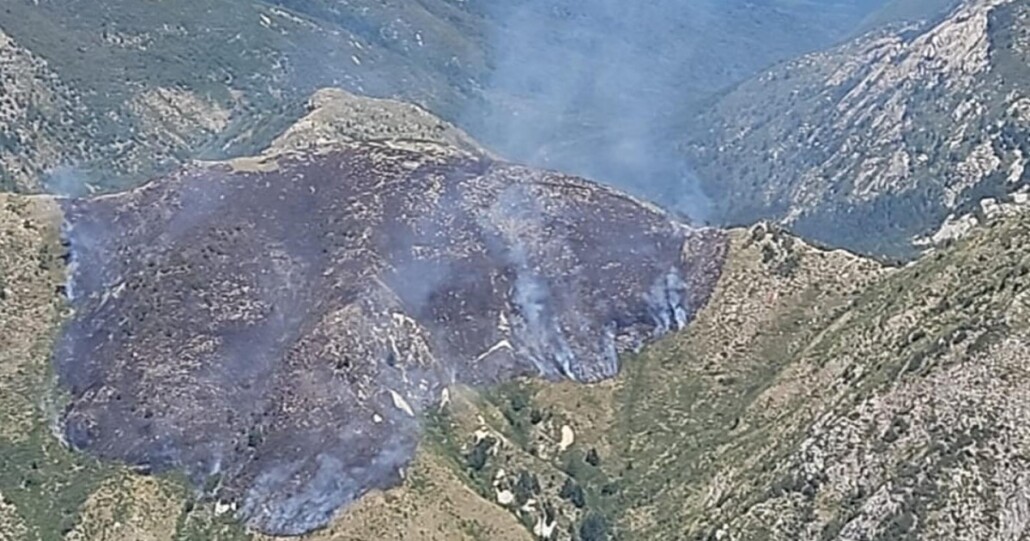 Se interpone querella por incendio forestal en Santa Bárbara que afectó 600 hectáreas.