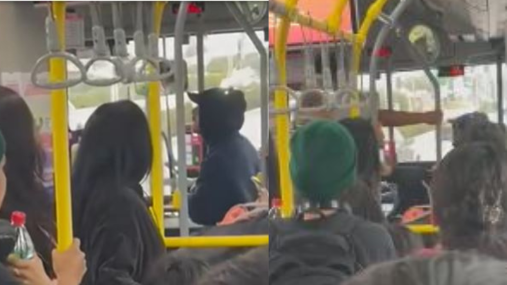 Registran acalorada pelea entre la conductora de un micro y un pasajero: Gritos y llanto en un bus en La Serena.