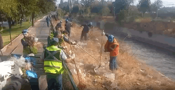 Actividades de limpieza y restauración en el canal San Carlos.