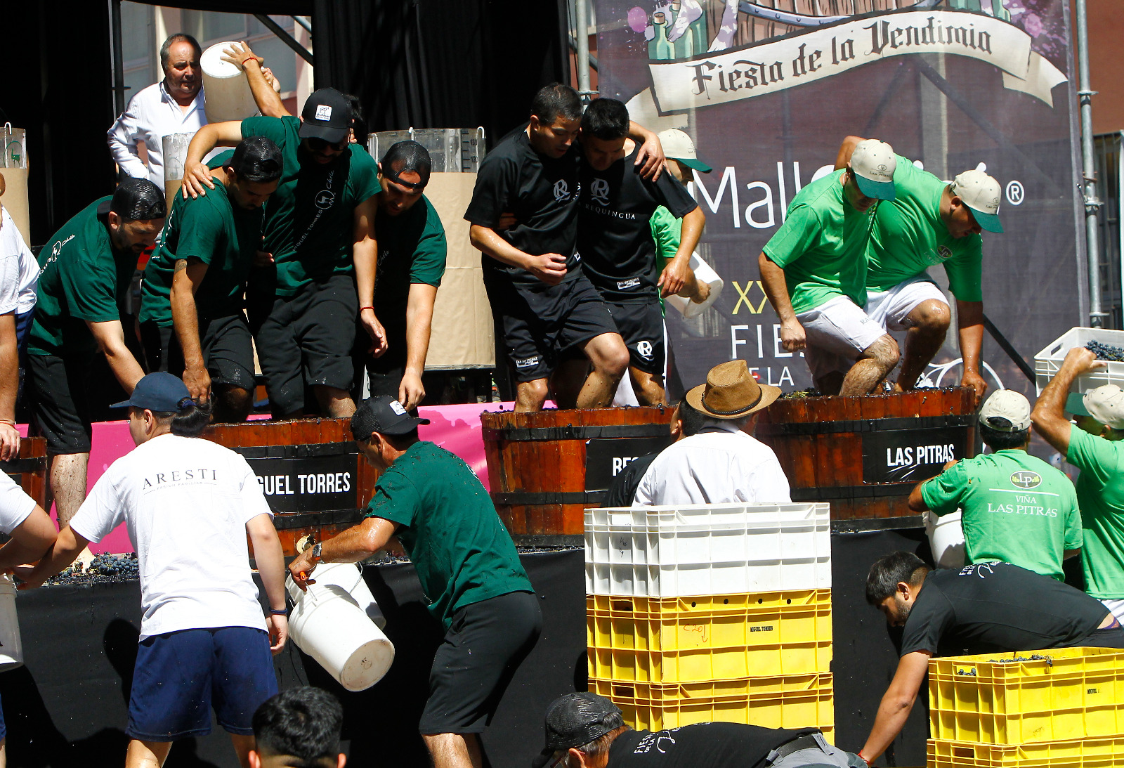 Fiesta de la Vendimia 2025 en el Recinto Rodeo de Curicó.