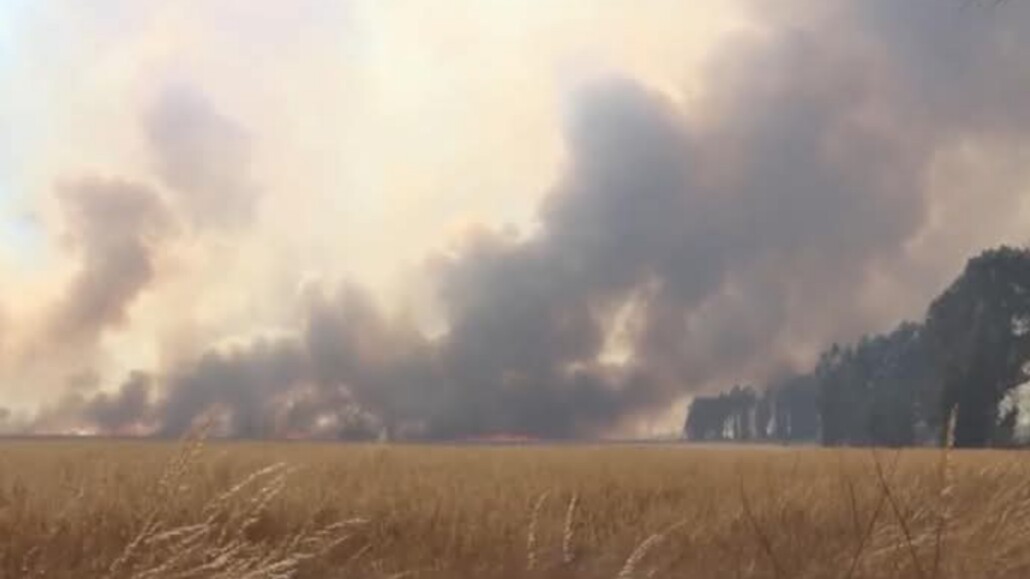 Detienen a agricultor por realizar una quema ilegal en Malleco.