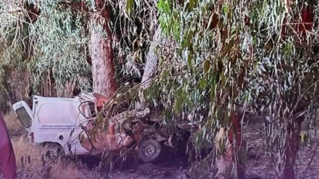 Accidente automovilístico contra un árbol provoca la muerte de dos personas en la región de O’Higgins.