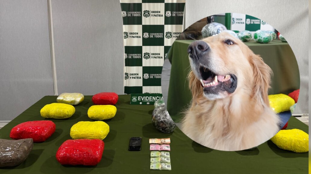 Más de 24 kilos de droga fueron confiscados a un pasajero de autobús en Los Ángeles durante una fiscalización.