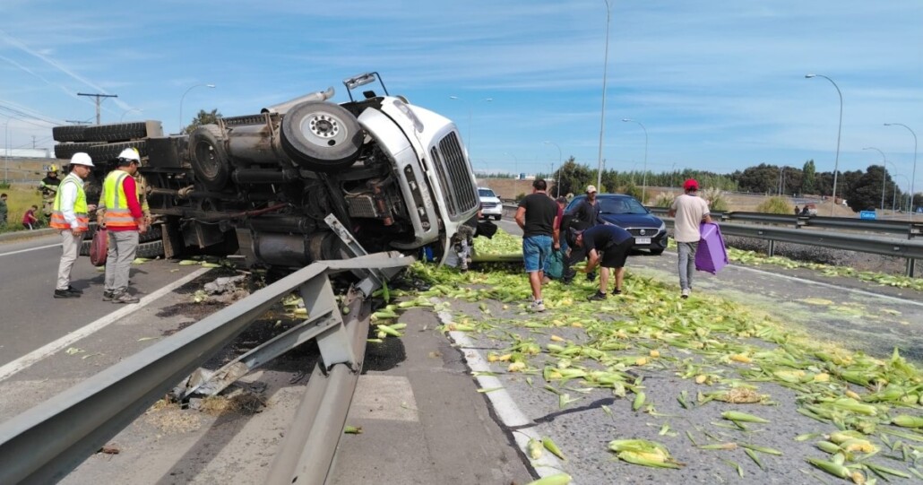 Camión se volcó en la Ruta 5 Sur, cerca de Cabrero, dejando esparcida su carga de choclos.