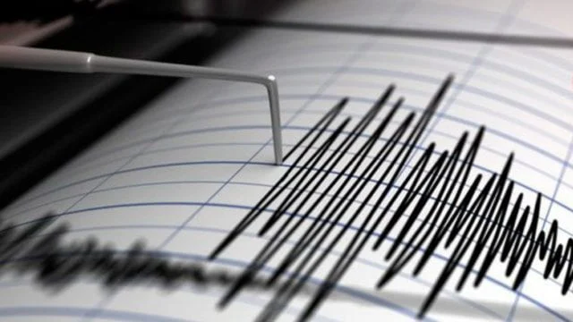 Se registró un sismo en la provincia de Biobío: aquí están su magnitud y epicentro.