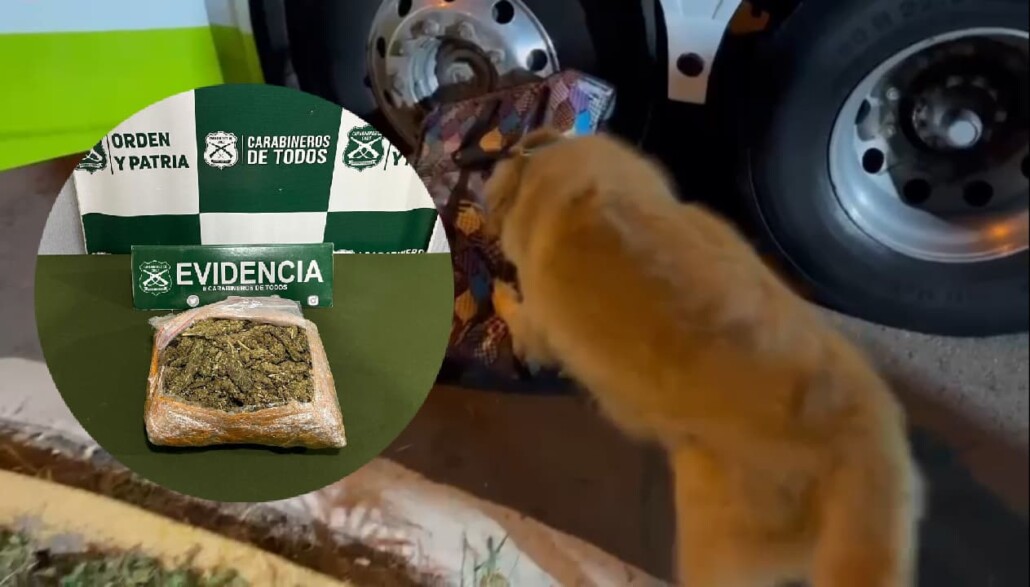 Un hombre que viajaba en un bus en Cabrero fue detenido con miles de dosis de marihuana.