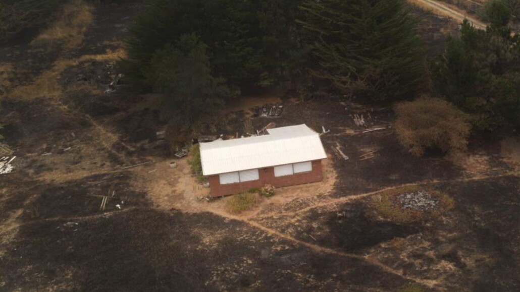 Frane Zilic, gerente de Biobío Madera: «Un diseño apropiado de las viviendas puede marcar la diferencia en caso de un incendio forestal»