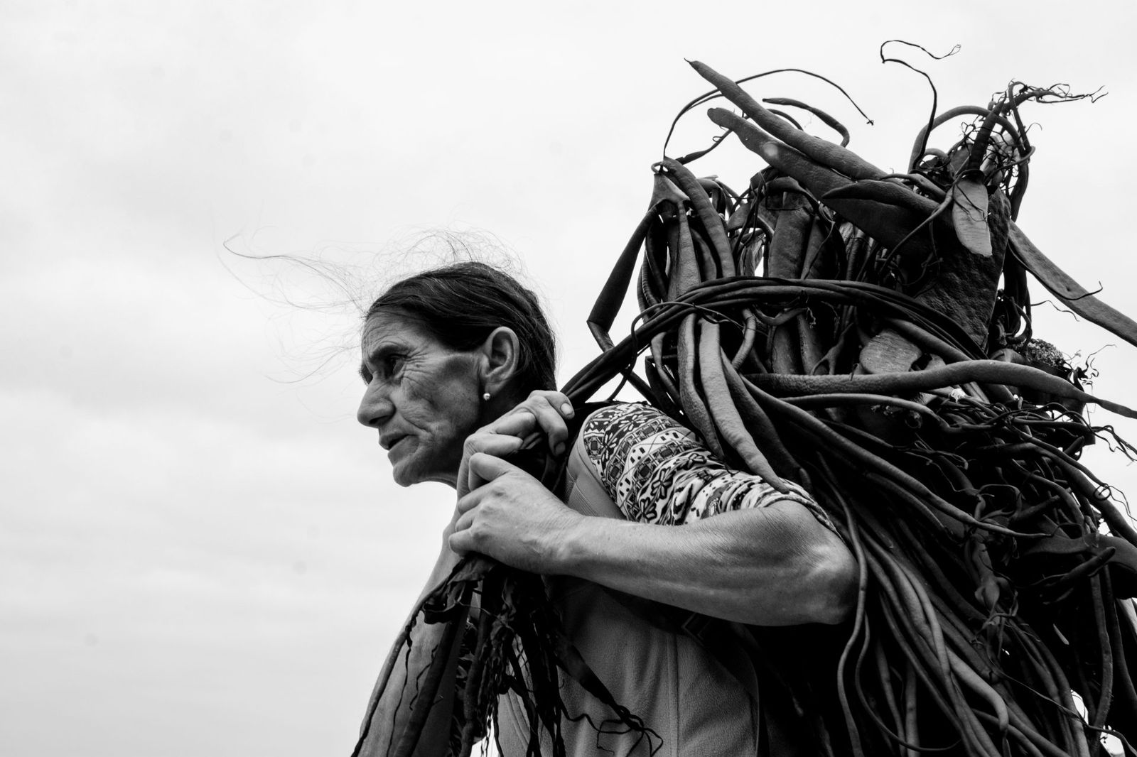 Cultura y tradición: Boyeruca homenajea a los trabajadores del mar a través de una exposición fotográfica.