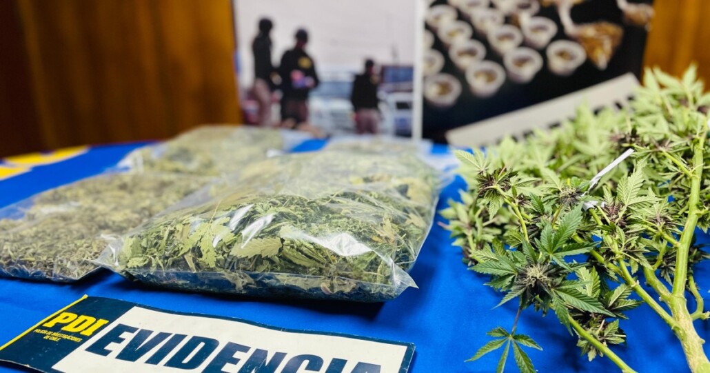 Más de $13 millones en drogas fueron confiscados en Mulchén: dos hombres fueron arrestados.