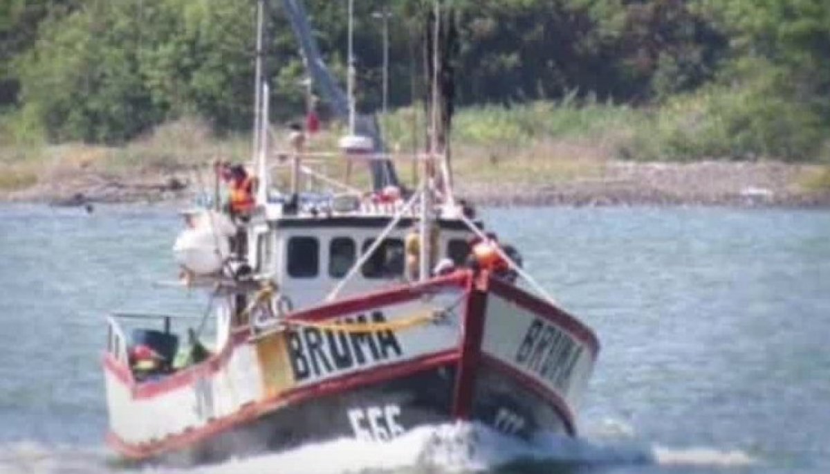 Apareció en Coronel: Información completa sobre la embarcación de Constitución.