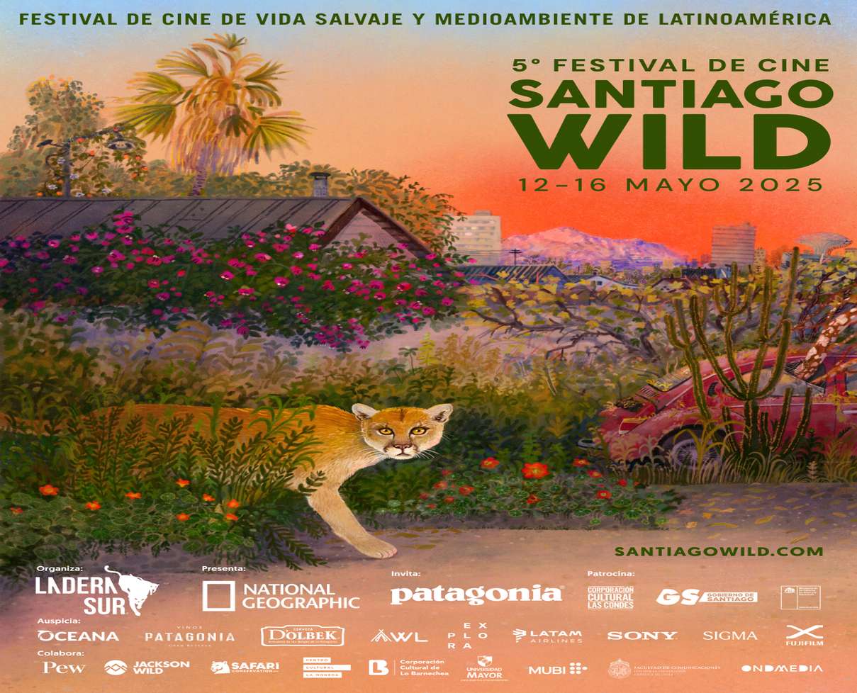 Festival Santiago Wild 2025 regresa con estrenos de cine internacional.