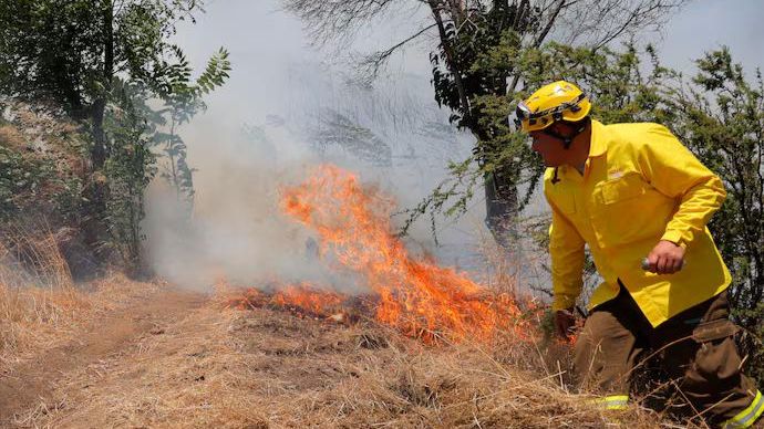 Conaf comienza las quemas agrícolas permitidas en La Araucanía.