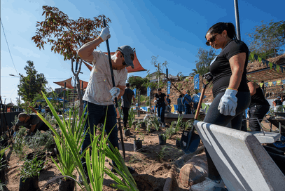 Abren refugio climático en Cerrillos.