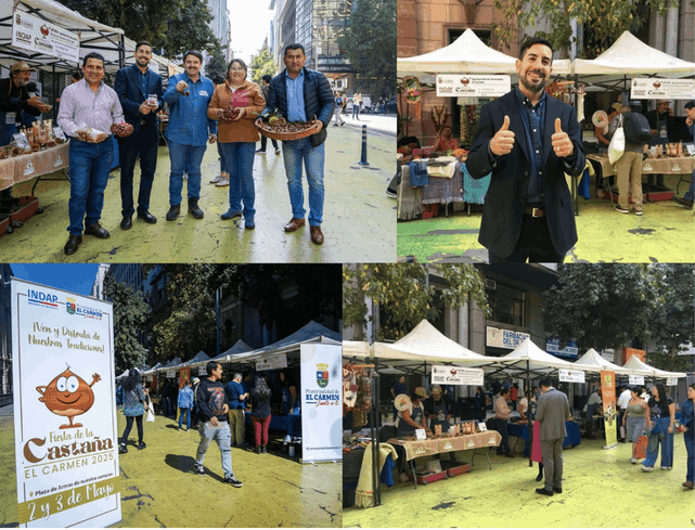 Productores de castañas llevan a cabo una muestra promocional.