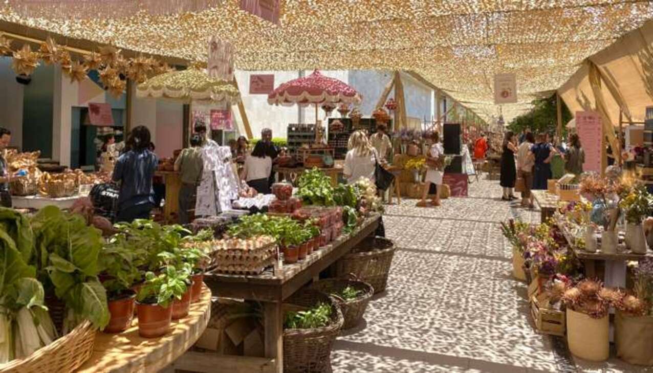 Feria Al Cateo Otoño 2025: Vino y Delicias en Casacostanera.