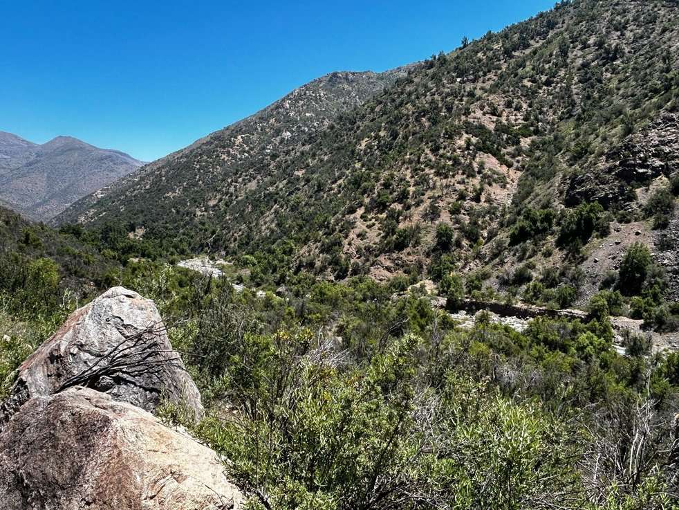 Investigación sobre diversidad y ecosistemas.