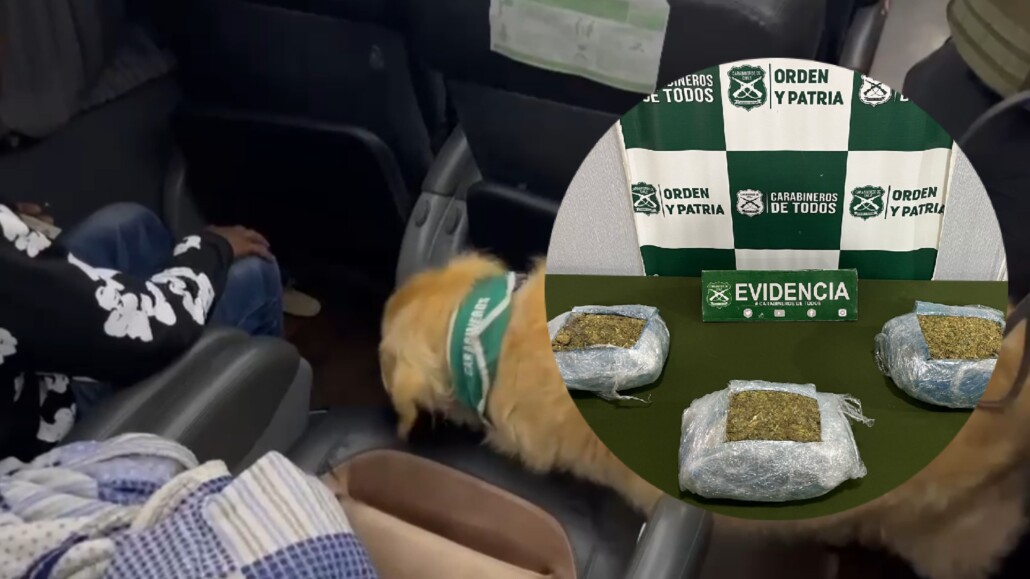 Capturan a un extranjero en un autobús que ocultaba más de tres kilos de droga en Cabrero.