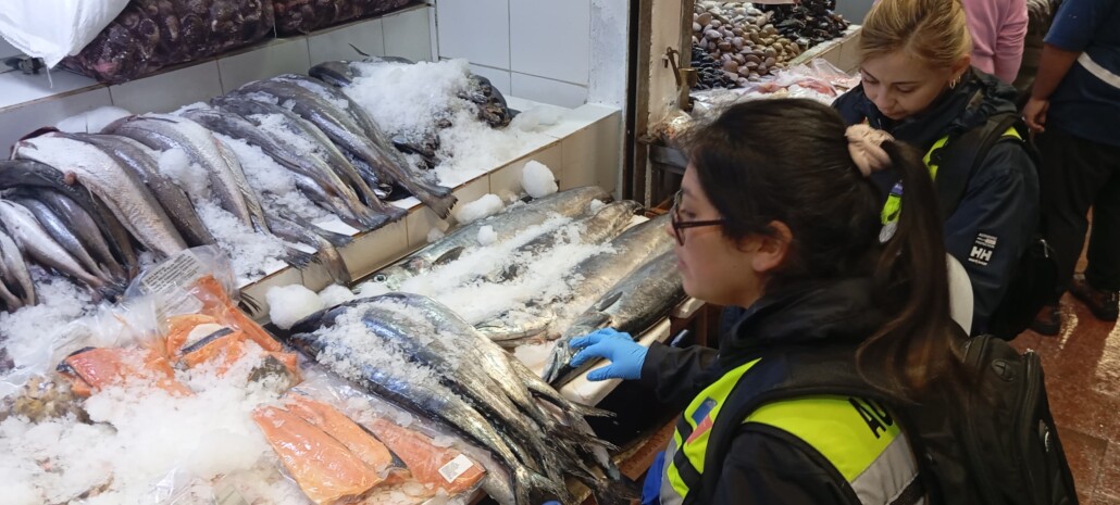 Control de pescados y mariscos en el Biobío: autoridades instan a adquirir en el comercio formal.