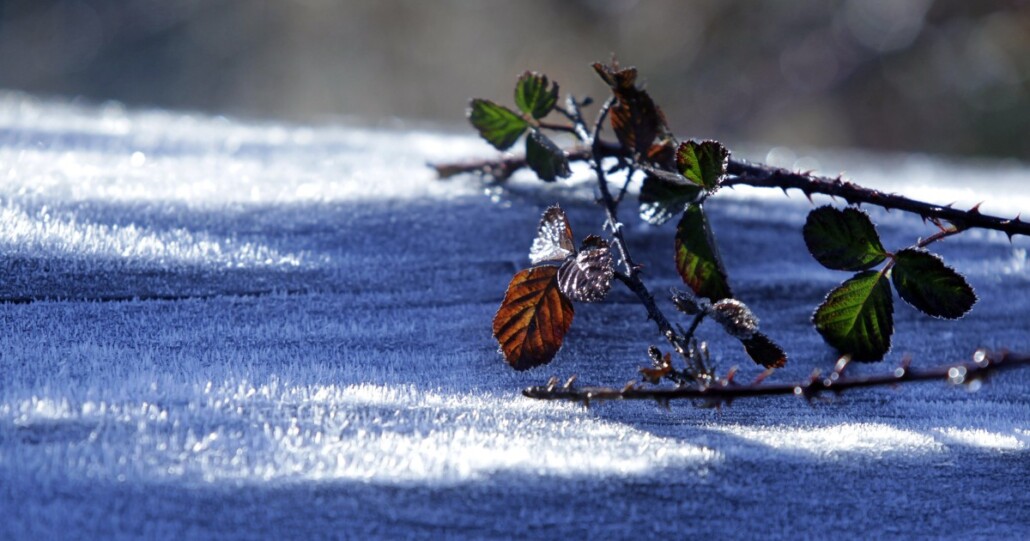 Prepárense para esta semana: temperaturas bajo cero en Los Ángeles y en toda la Provincia del Biobío.