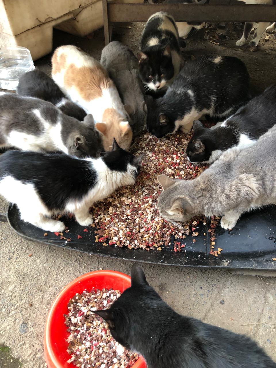 Se previene su depósito en vertederos y se entrega a organizaciones benéficas.