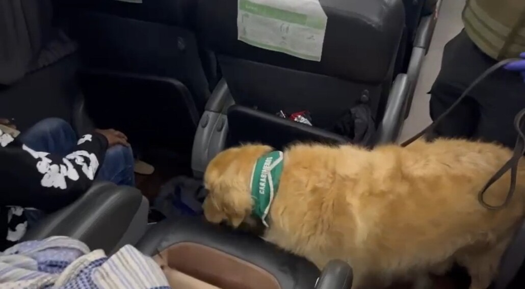 Sujeto arrestado en Cabrero con casi dos kilos de droga.