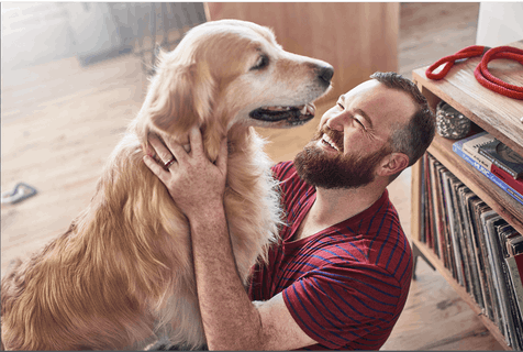 Algoritmo que calcula la edad biológica de los perros.