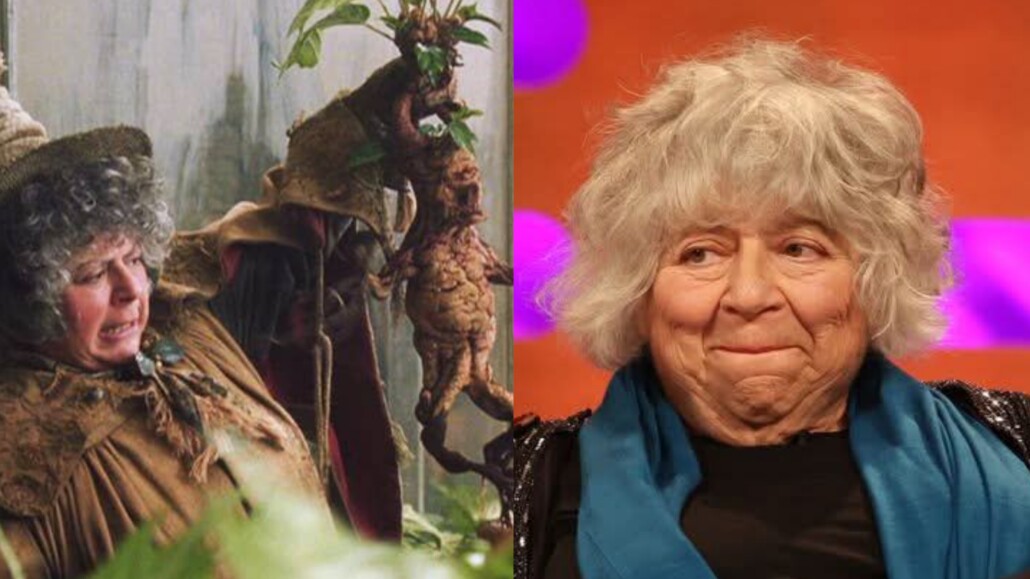 La delicada salud de una querida actriz de Harry Potter preocupa a los fans.