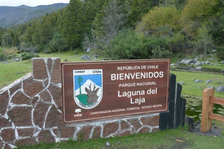 CONAF establece cierre preventivo del Parque Nacional Laguna del Laja debido a un sistema frontal en Biobío.
