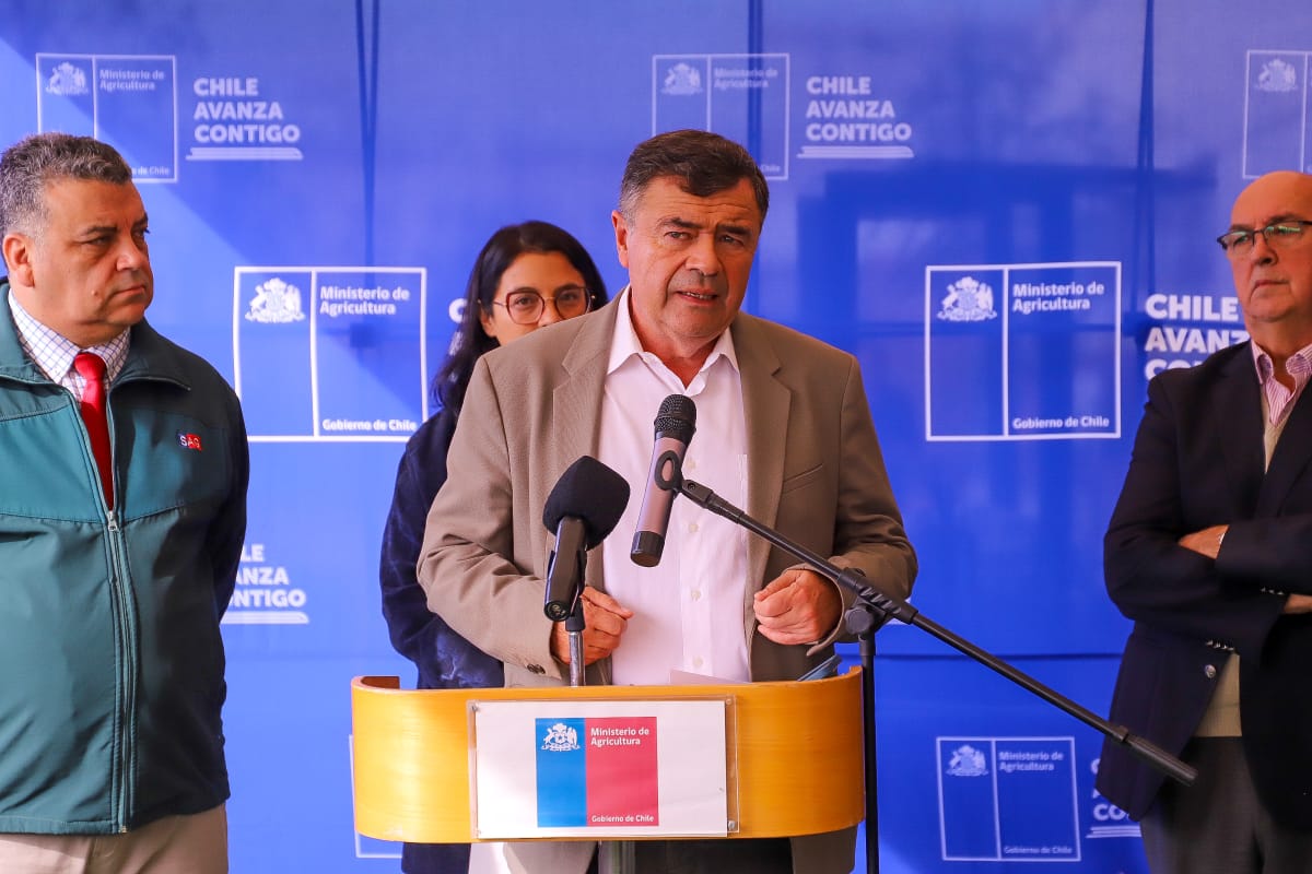 El precio del pollo permanece estable a pesar de la suspensión de importaciones desde Brasil.