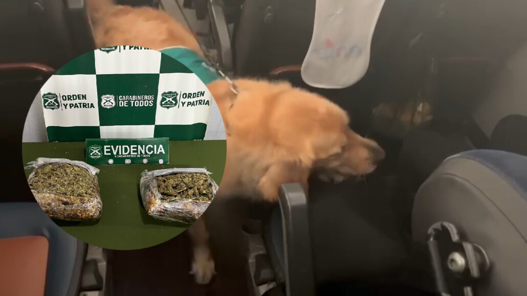 Cerca de 5 kilos de droga confiscada y tres arrestos durante controles de buses en el Biobío.