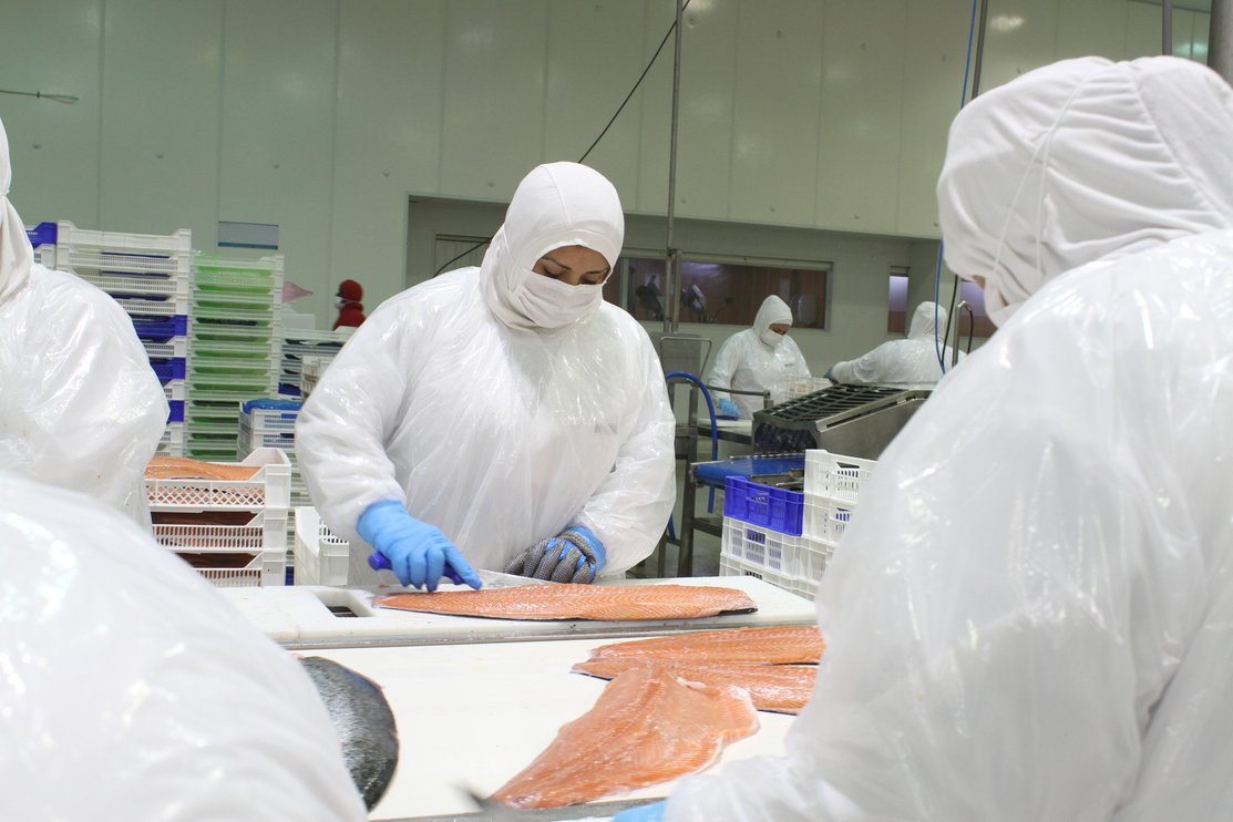 El Consejo del Salmón promueve la utilización de inteligencia artificial.