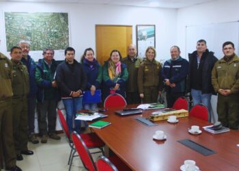 Conaf y Carabineros unen esfuerzos para la fiscalización y prevención de incendios forestales.