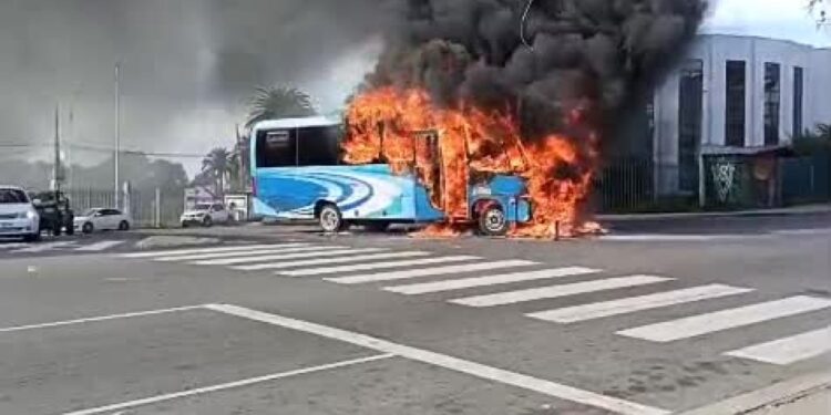 Un incendio dañó un bus en la Avenida Playa Ancha con El Parque en Valparaíso.