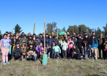 Se siembran 198 árboles nativos en el área de la Reserva Lago Peñuelas de Valparaíso donde iniciaron el megaincendio de 2024.