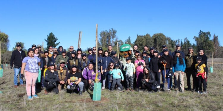 Se siembran 198 árboles nativos en el área de la Reserva Lago Peñuelas de Valparaíso donde iniciaron el megaincendio de 2024.