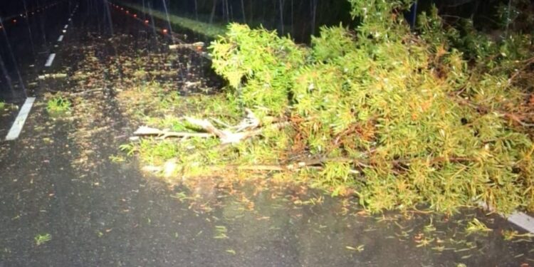 Se registran ráfagas de viento de hasta 100 km/h en varias comunas del Biobío: se declara «Alarma Meteorológica».