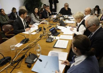 La Comisión de Minería y Energía del Senado se opone al incremento de sanciones para las empresas eléctricas por cortes de luz.