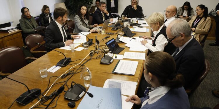 La Comisión de Minería y Energía del Senado se opone al incremento de sanciones para las empresas eléctricas por cortes de luz.