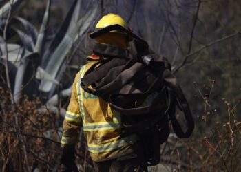 Aprobaron un proyecto que pone fin al abuso de horas extras en Conaf y promueve un enfoque en la prevención de incendios.