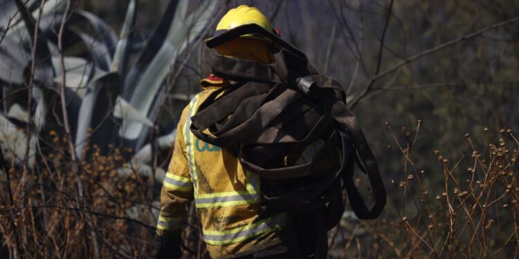 Aprobaron un proyecto que pone fin al abuso de horas extras en Conaf y promueve un enfoque en la prevención de incendios.