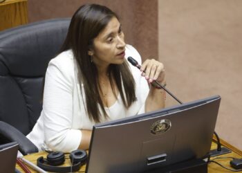 A tres días de la Primaria: La senadora Campillai rechaza apoyar a los candidatos presidenciales del oficialismo.