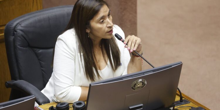 A tres días de la Primaria: La senadora Campillai rechaza apoyar a los candidatos presidenciales del oficialismo.