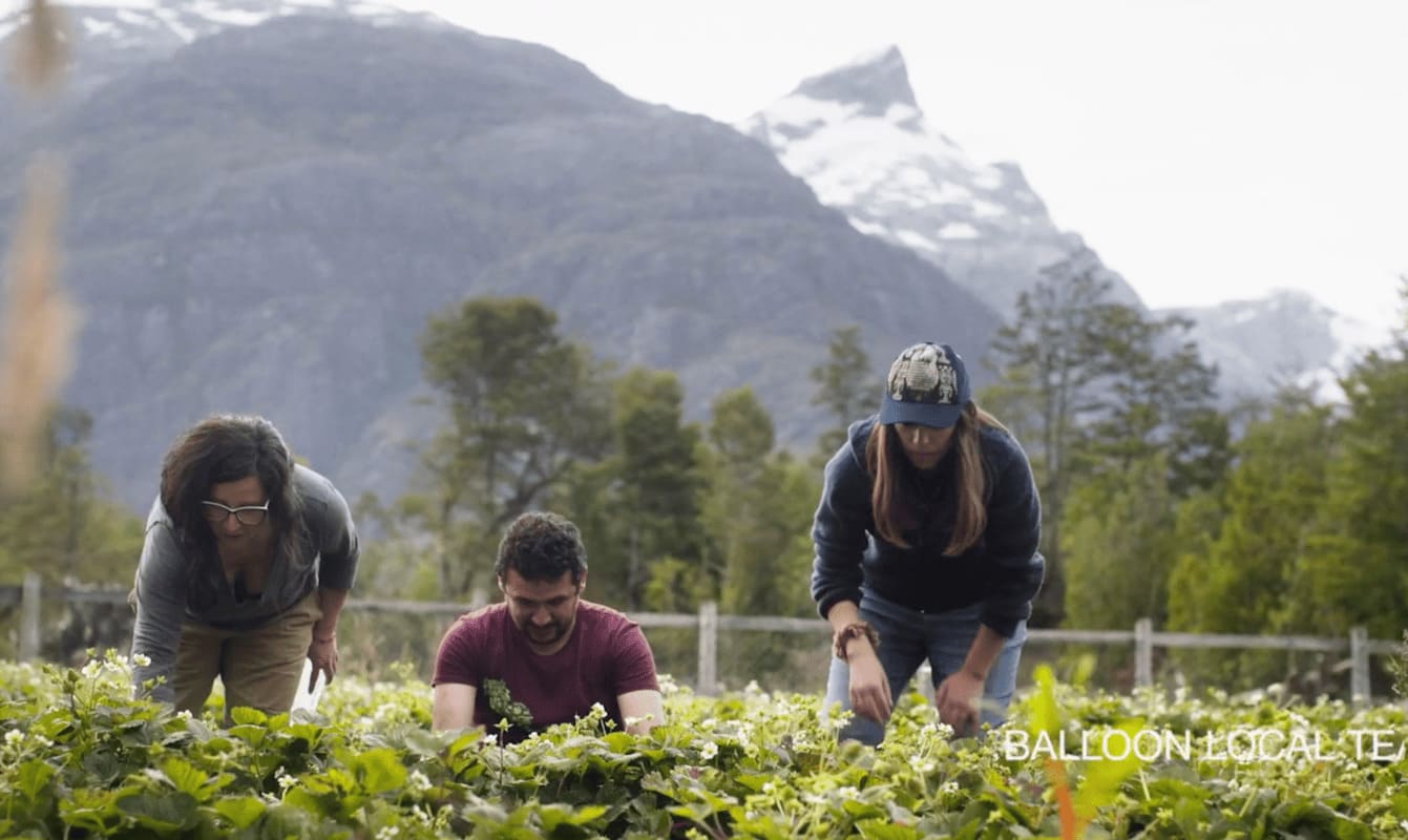 BBC y Balloon Latam resaltan a una emprendedora de Caleta Tortel.