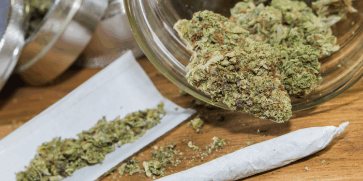 Estudio alerta que el consumo de marihuana incrementa el riesgo de infartos y accidentes cerebrovasculares.