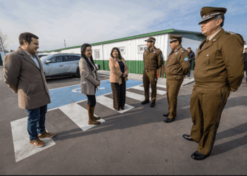 Nuevo cuidado del Roble en La Pintana