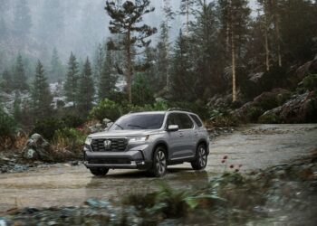 Temporada de nieve 2025: actividades y tips para viajar seguro a la montaña