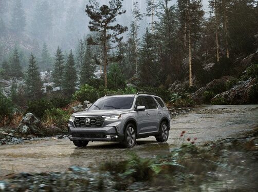 Temporada de nieve 2025: actividades y tips para viajar seguro a la montaña