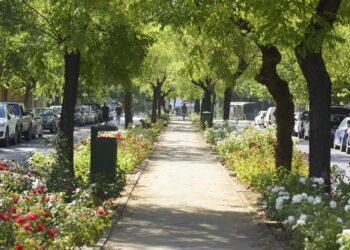 Diagonal: Ciudadanía Activa en la Remodelación