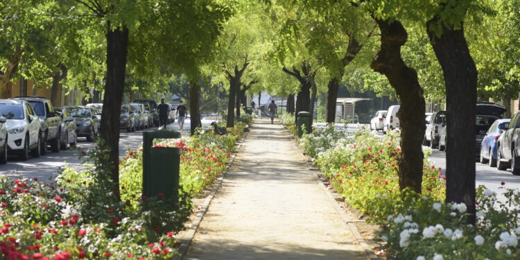 Diagonal: Ciudadanía Activa en la Remodelación